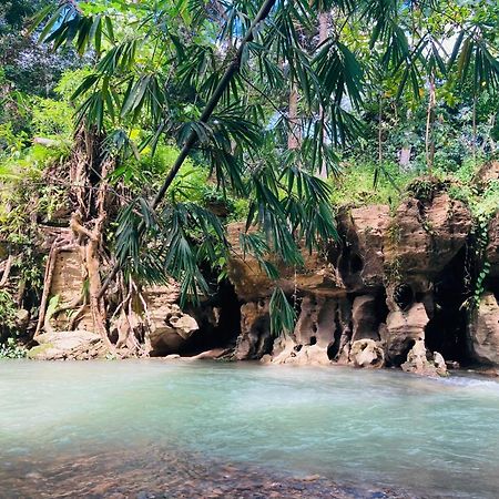 R5 Keramba Inn Bukit Lawang Esterno foto